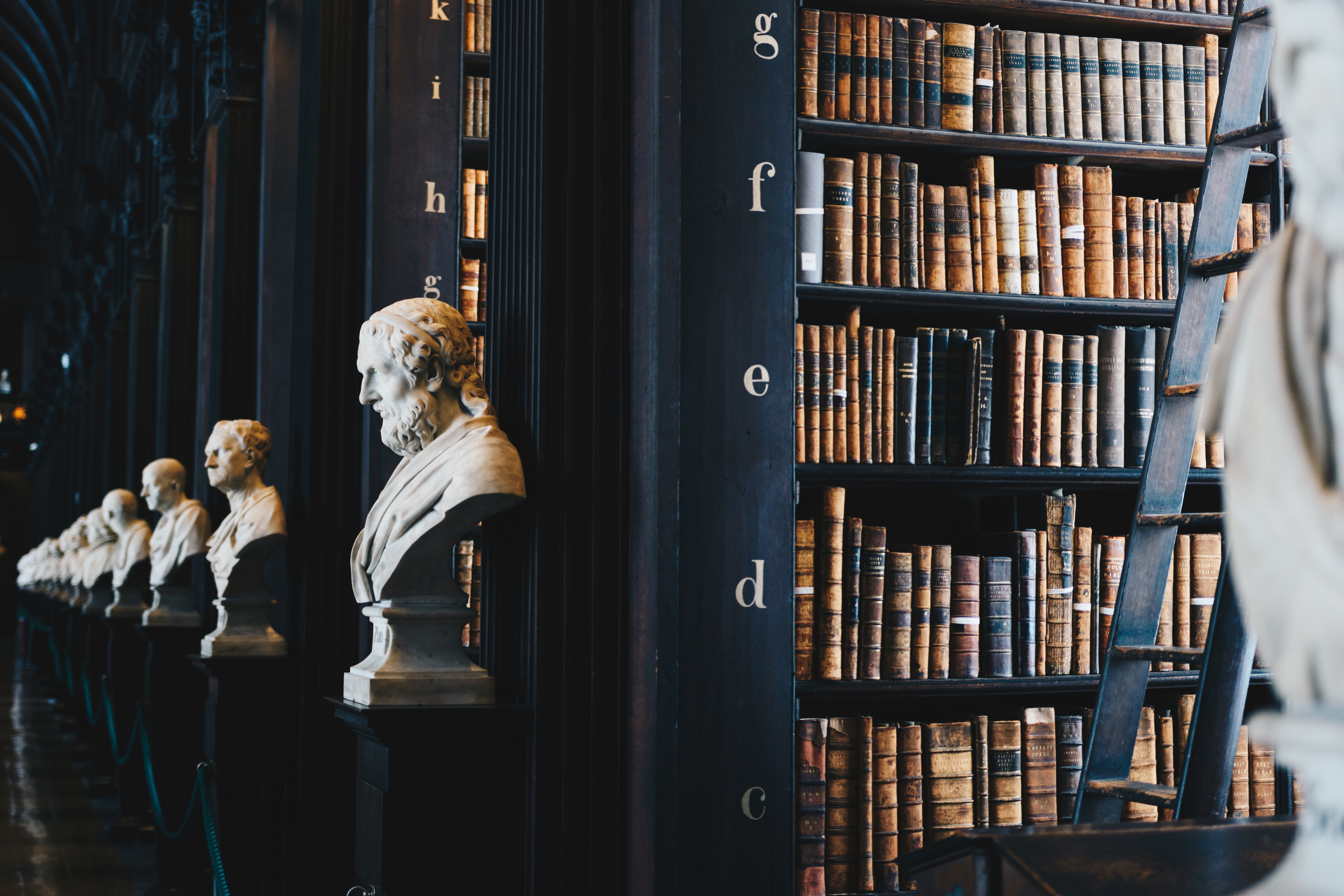 author busts in a library